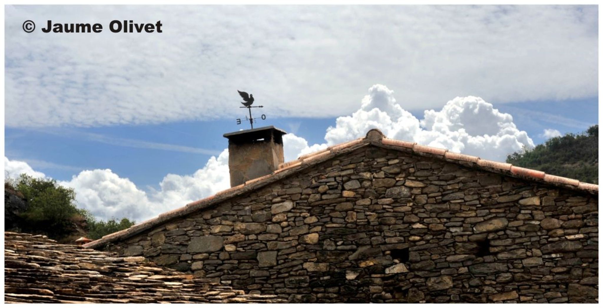 © Jaume Olivet 2010