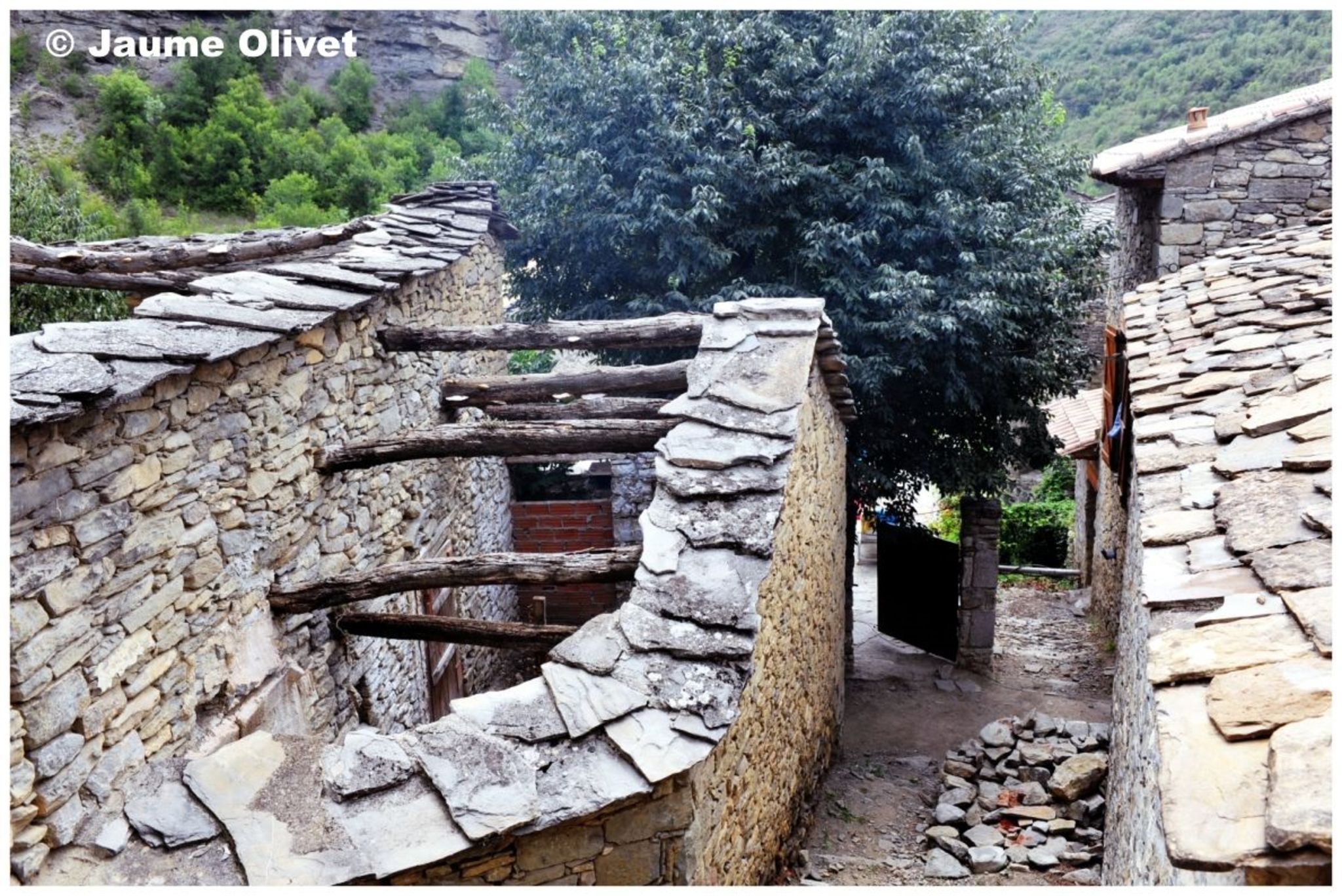 © Jaume Olivet 2010
