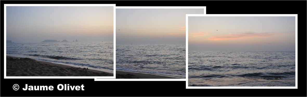 � Jaume Olivet 2010