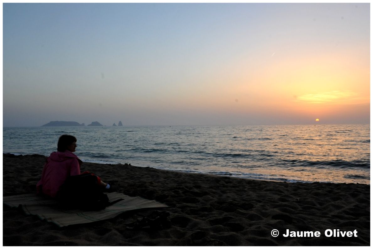 � Jaume Olivet 2010