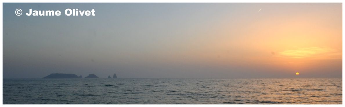 � Jaume Olivet 2010