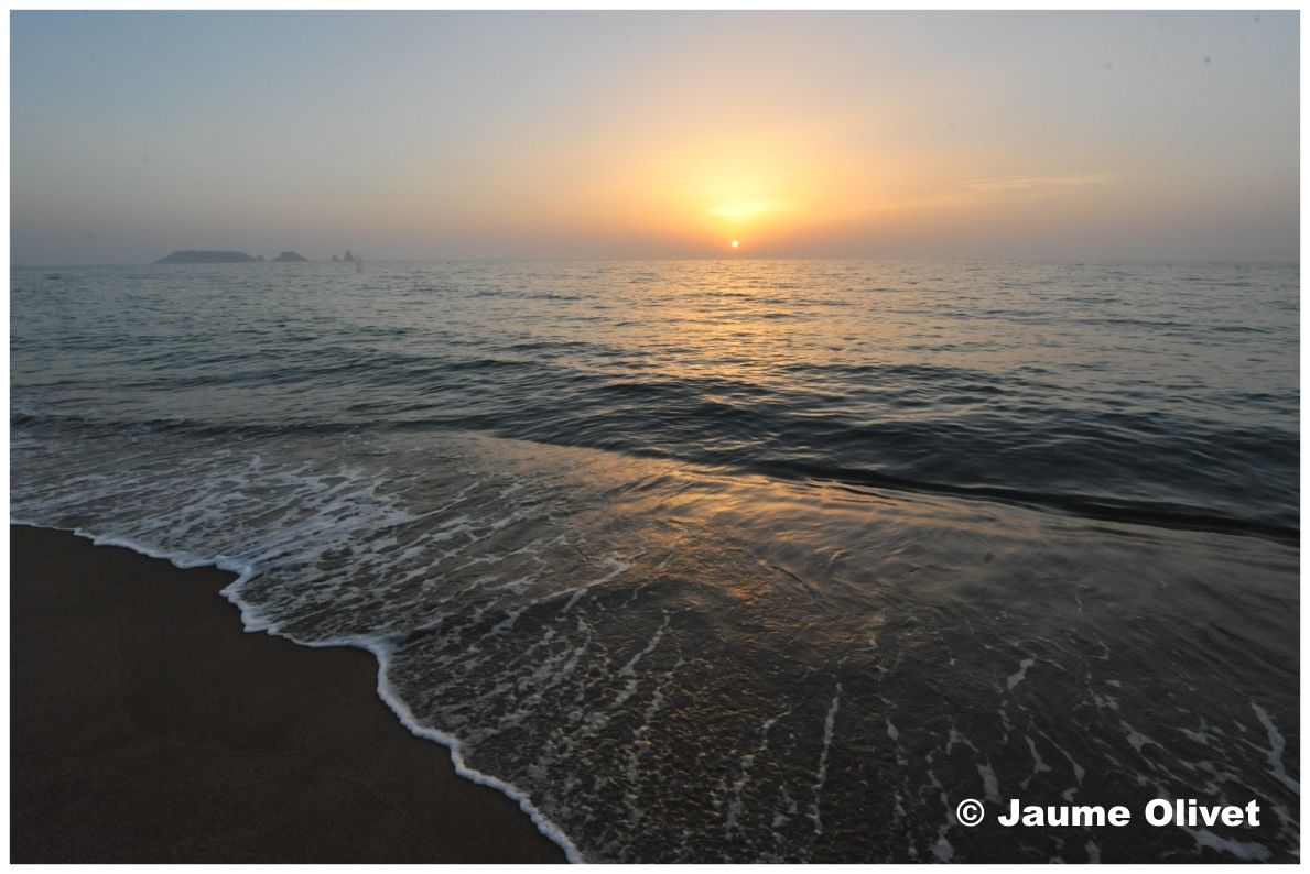 � Jaume Olivet 2010