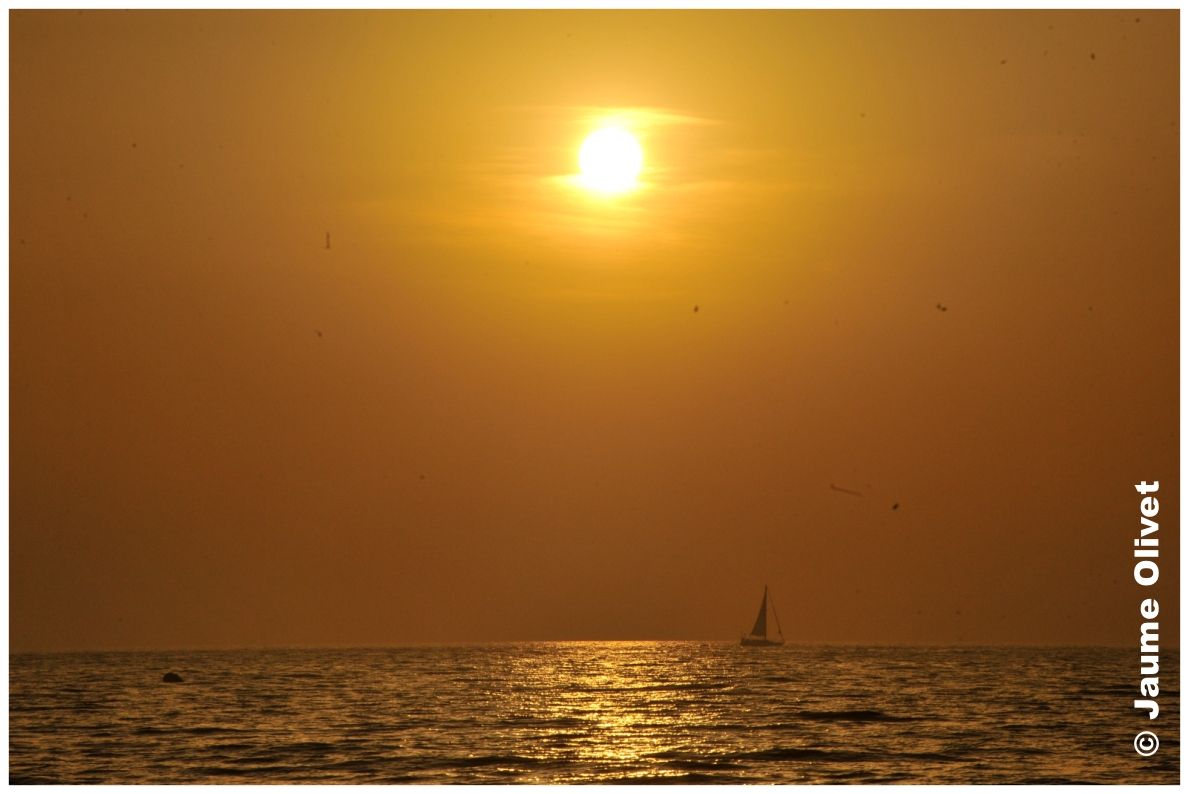 � Jaume Olivet 2010