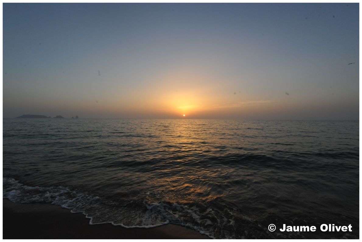 � Jaume Olivet 2010