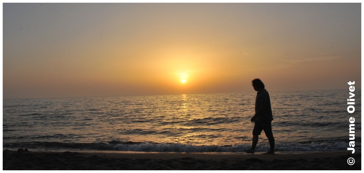 � Jaume Olivet 2010