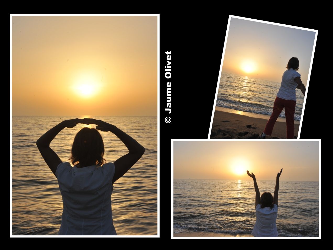 � Jaume Olivet 2010