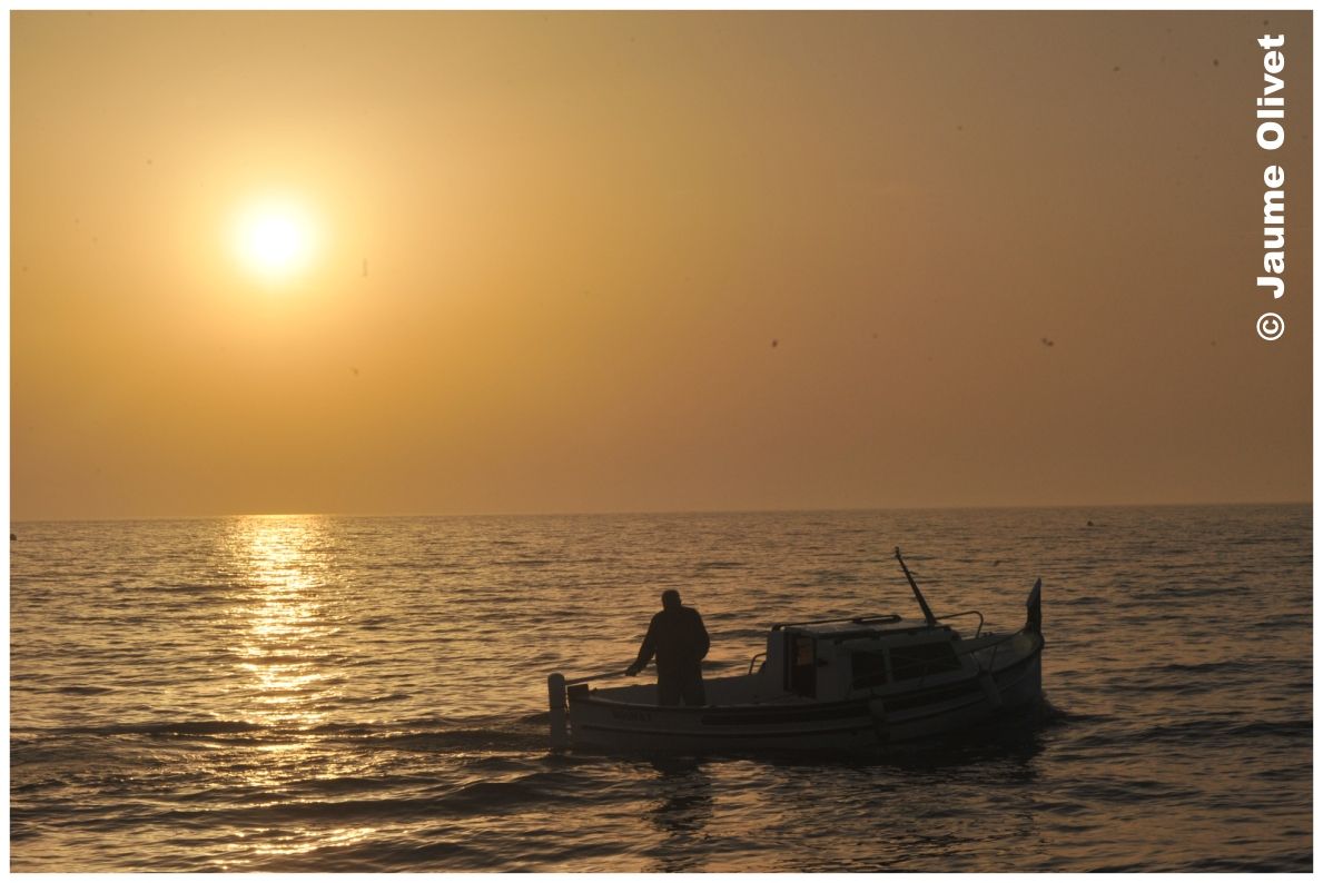 � Jaume Olivet 2010