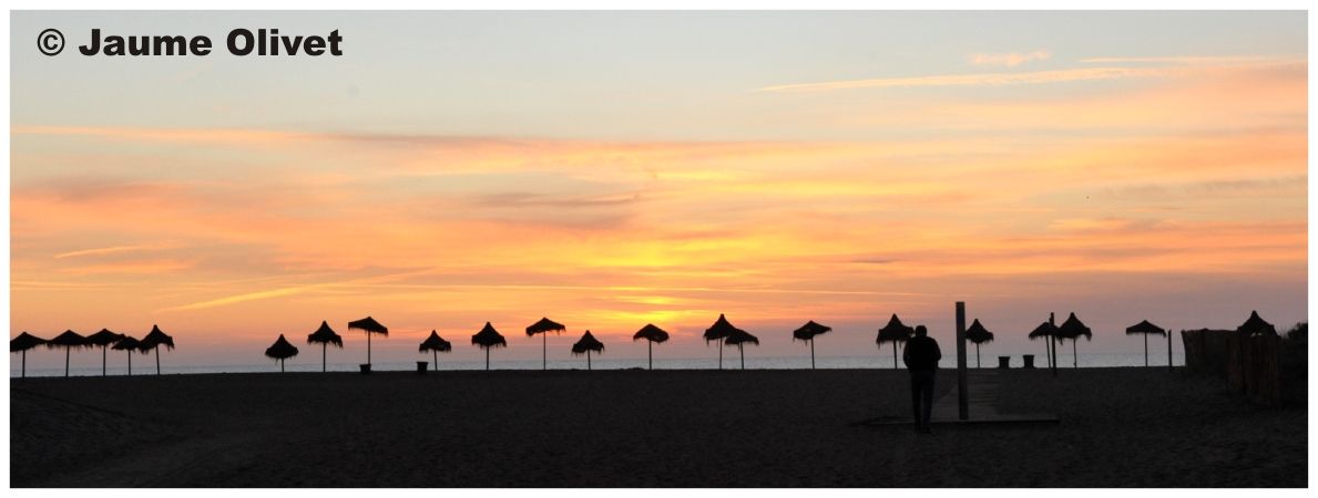 � Jaume Olivet 2010