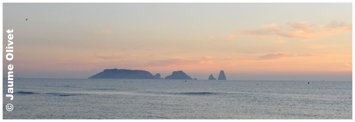 � Jaume Olivet 2010