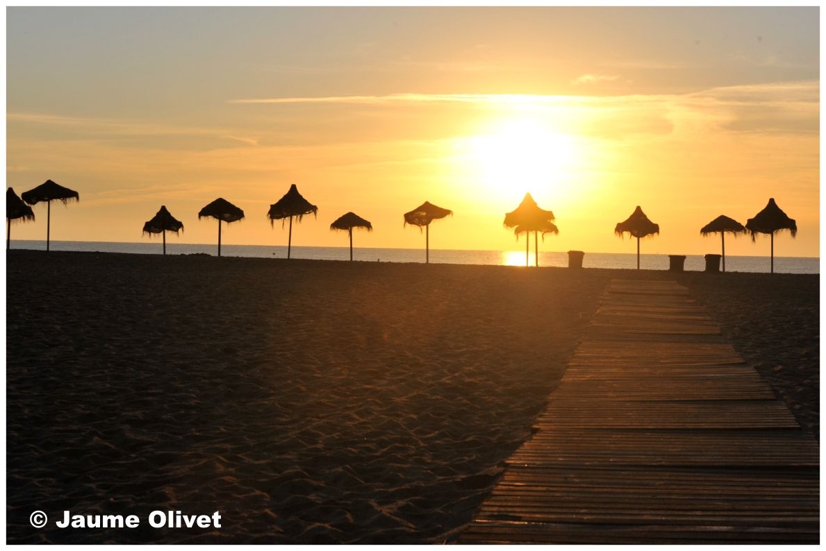  Jaume Olivet 2010