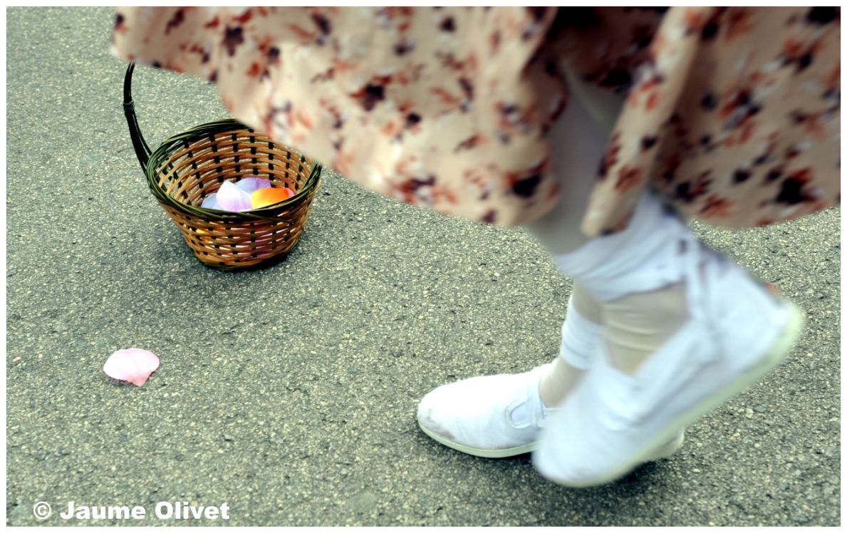 creu 10119 � Jaume Olivet