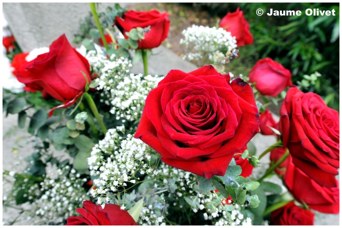 creu 10137 � Jaume Olivet