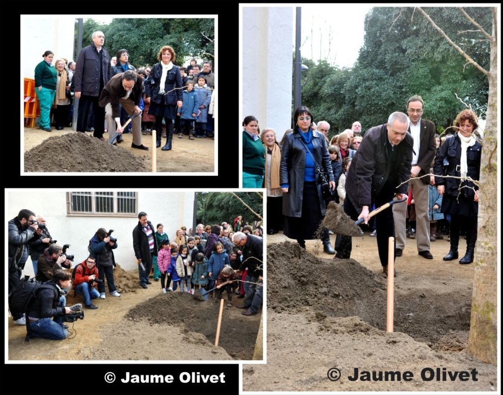 � Jaume Olivet 2010