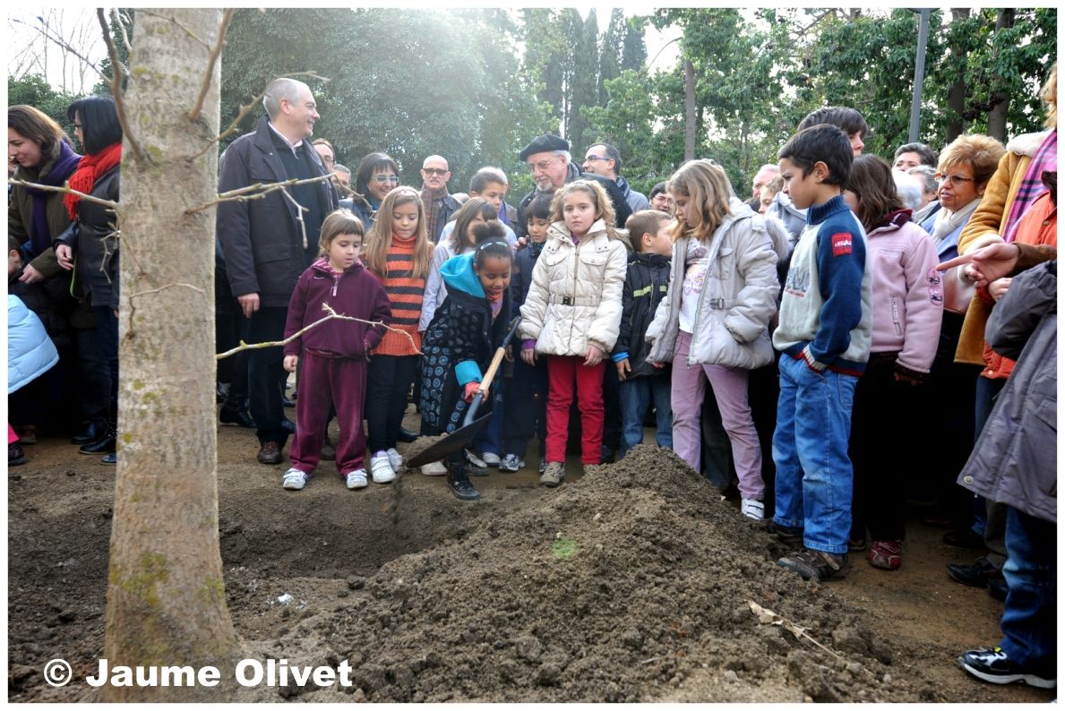 � Jaume Olivet 2010