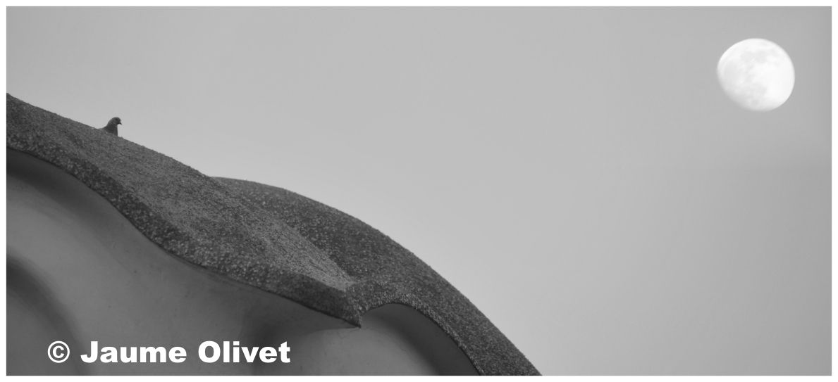  Jaume Olivet