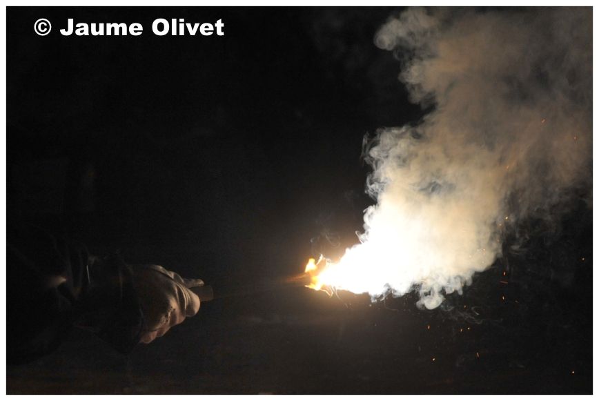 � Jaume Olivet 2010