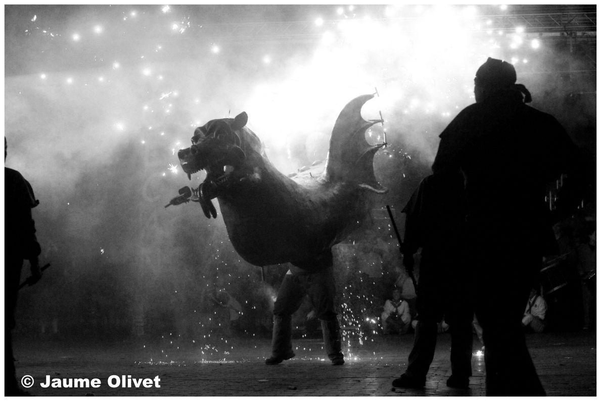 � Jaume Olivet 2010