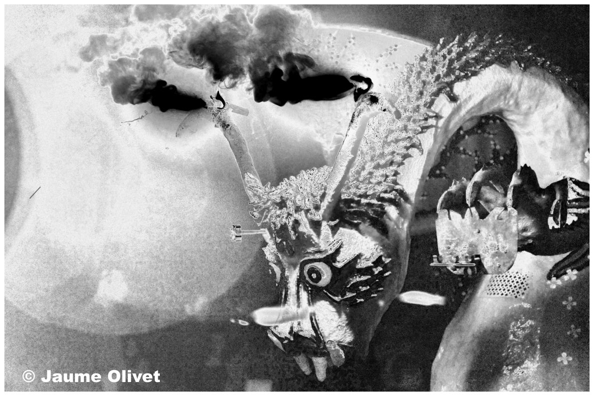 � Jaume Olivet 2010