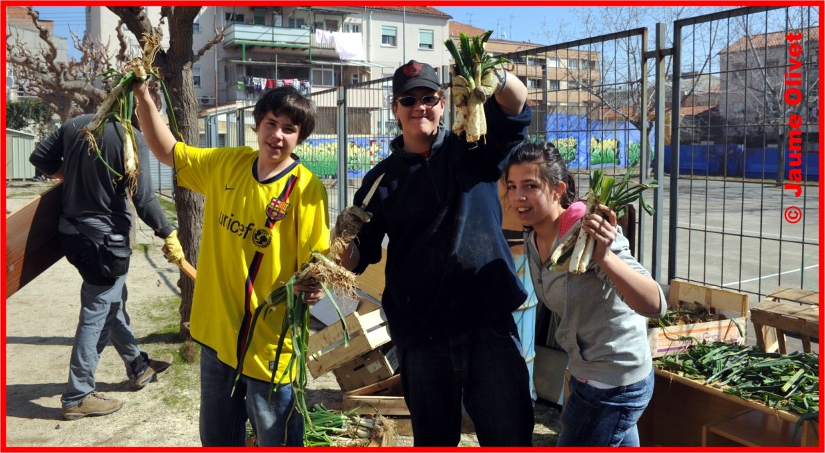 � Jaume Olivet 2010