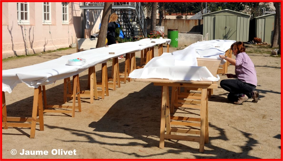 � Jaume Olivet 2010