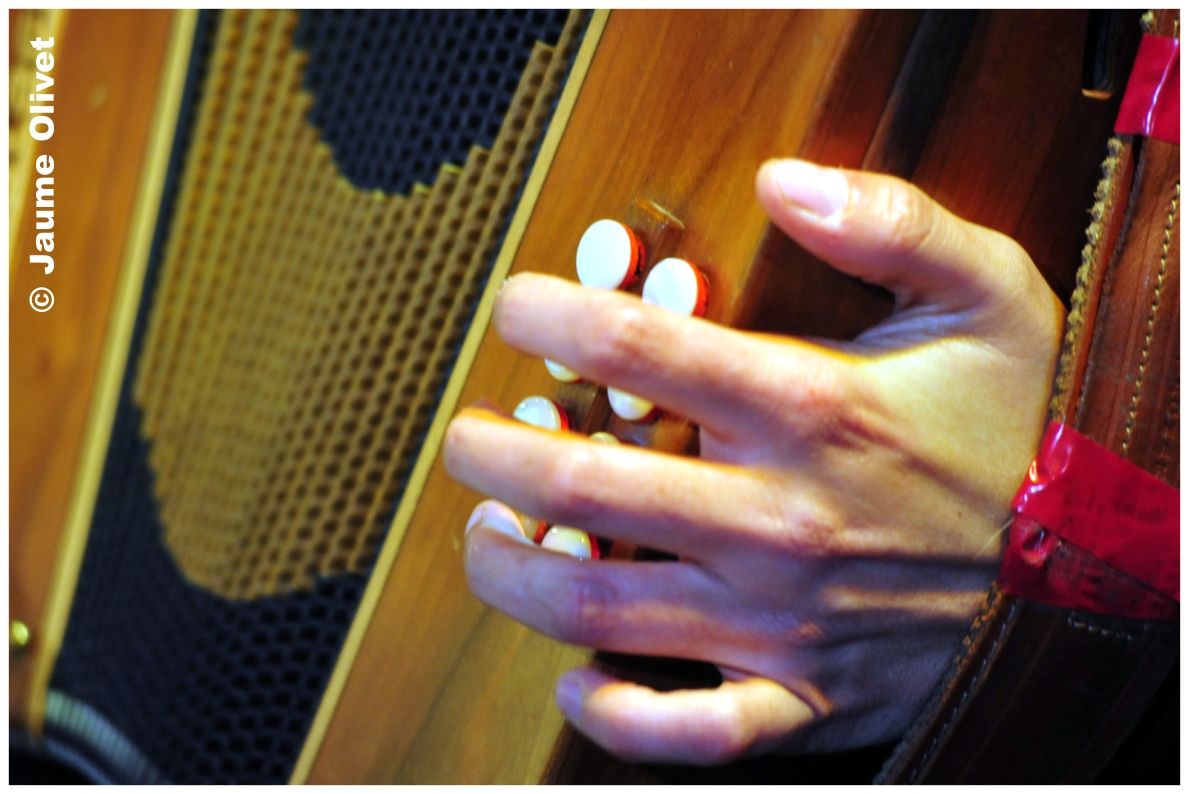 senfauna 001 � Jaume Olivet