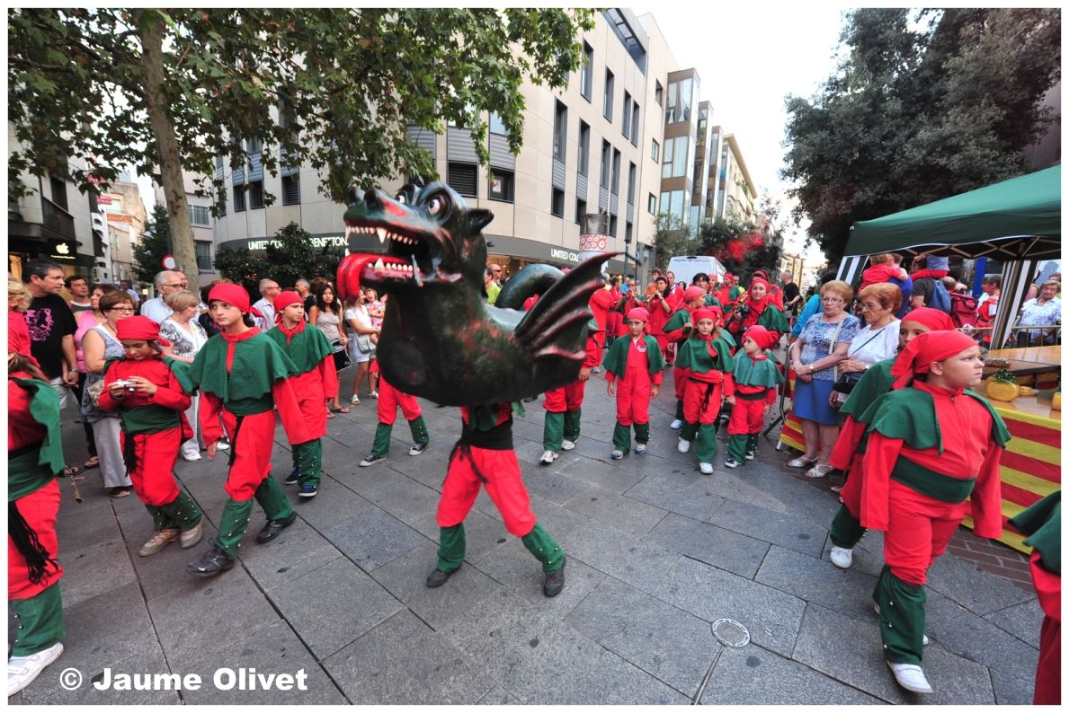 drac0002  Jaume Olivet