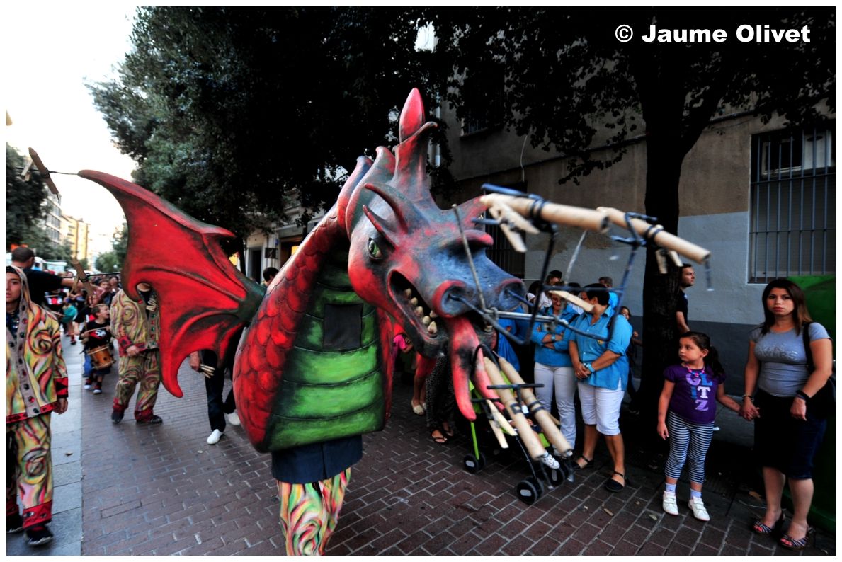 drac_0013 © Jaume Olivet