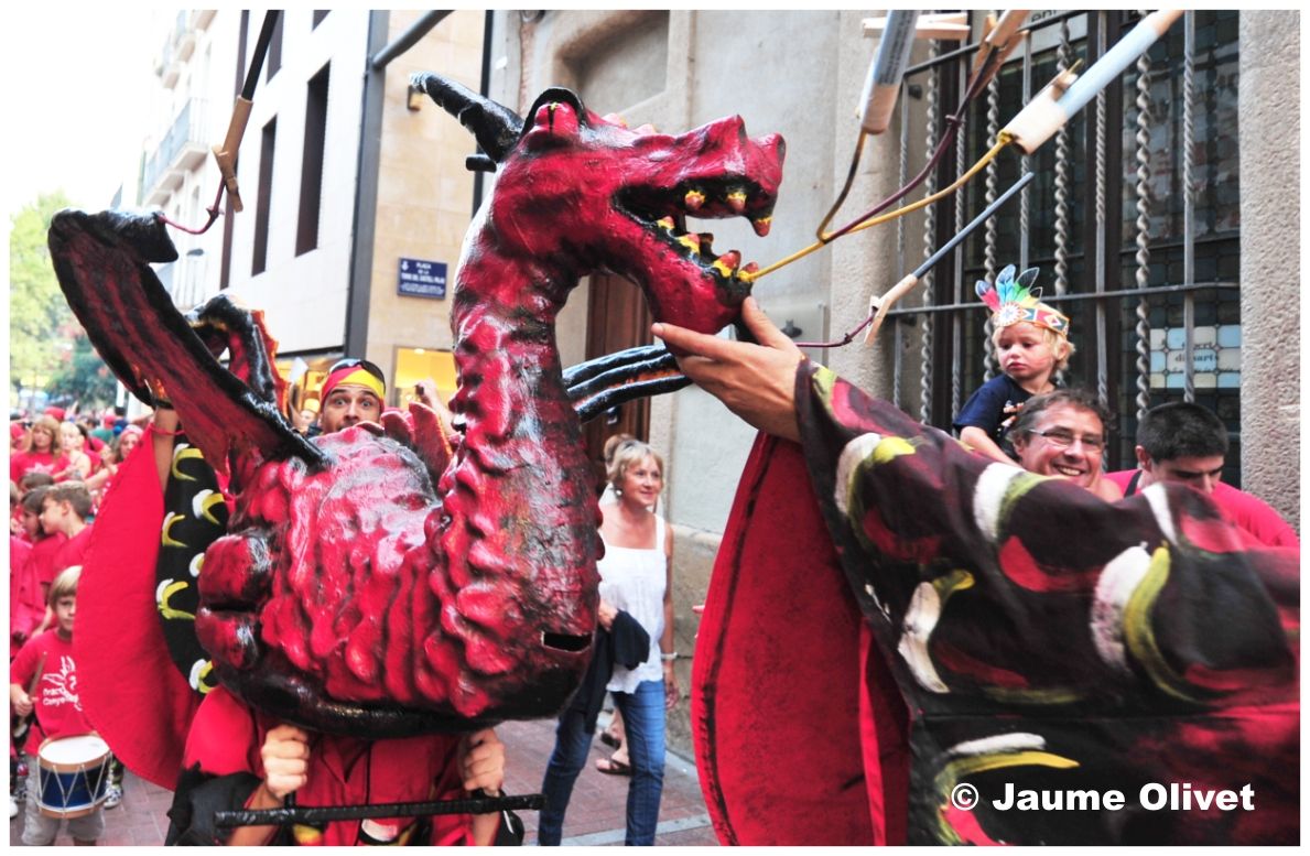 drac_0018 © Jaume Olivet