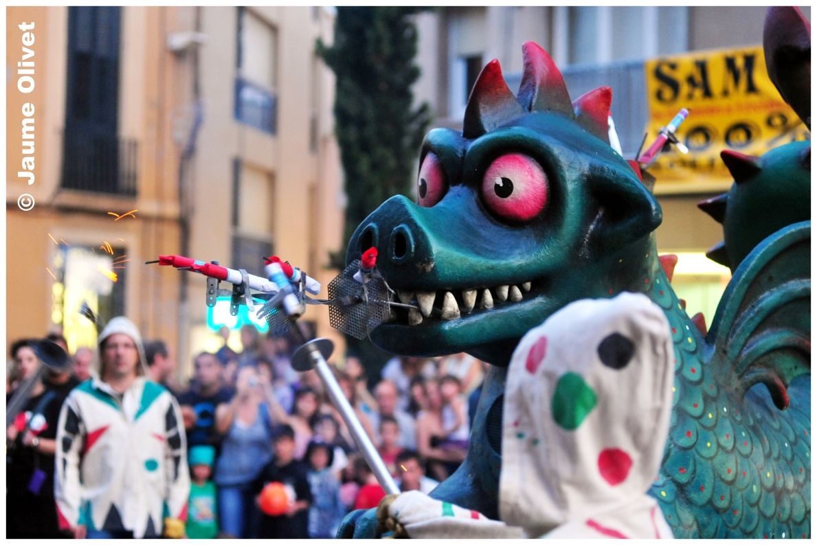 drac0026  Jaume Olivet