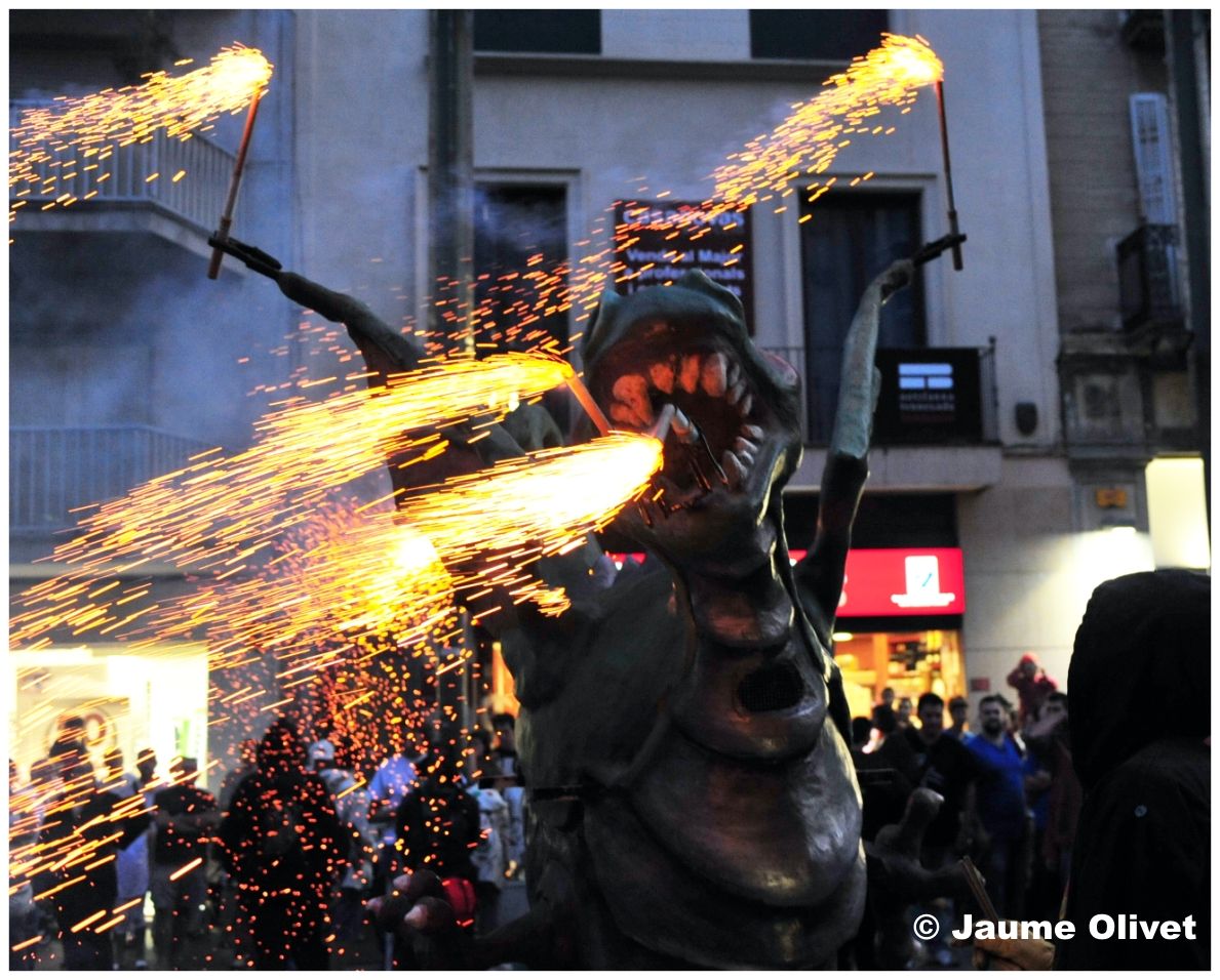 drac_0032 � Jaume Olivet