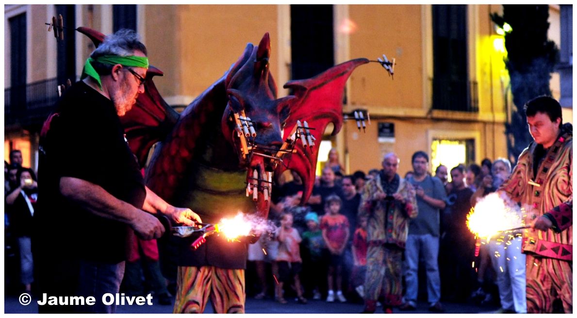 drac_0039 � Jaume Olivet