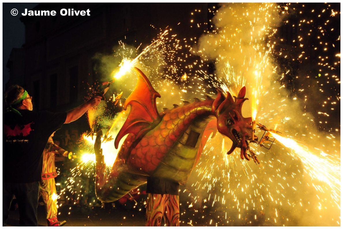 drac_0042 � Jaume Olivet