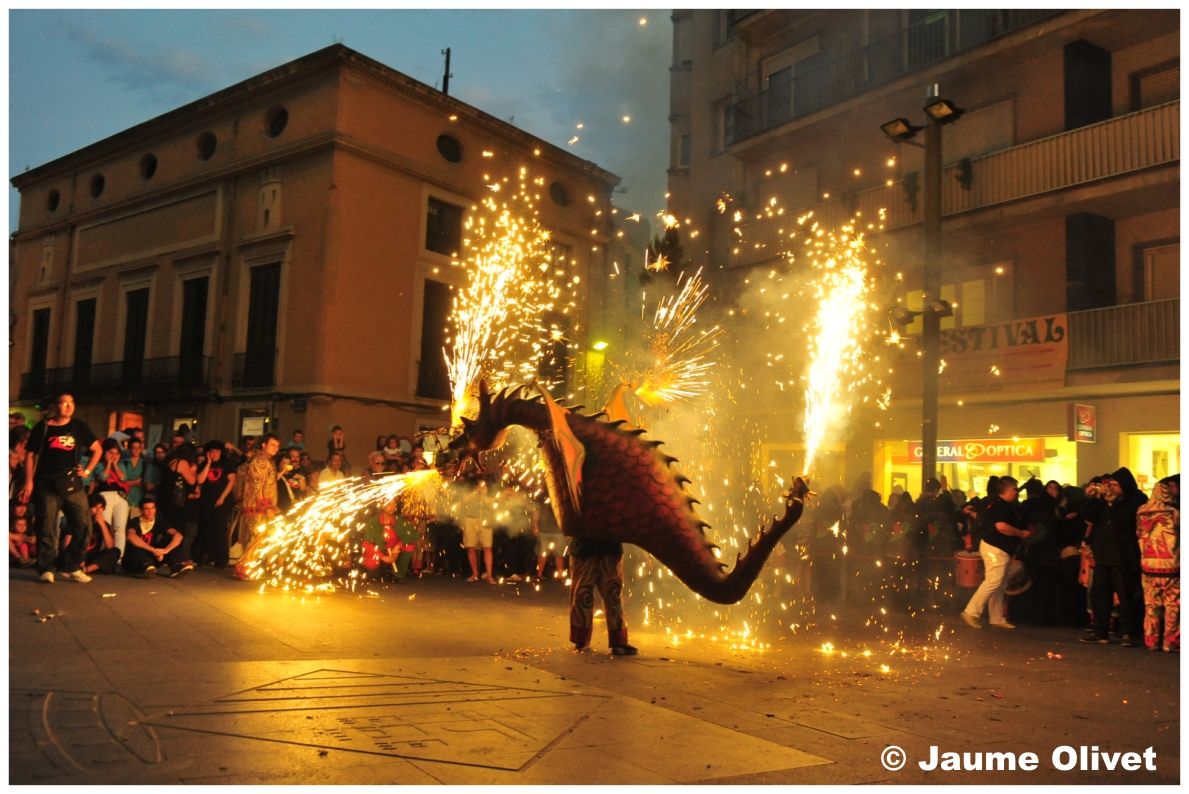 drac_0043 � Jaume Olivet
