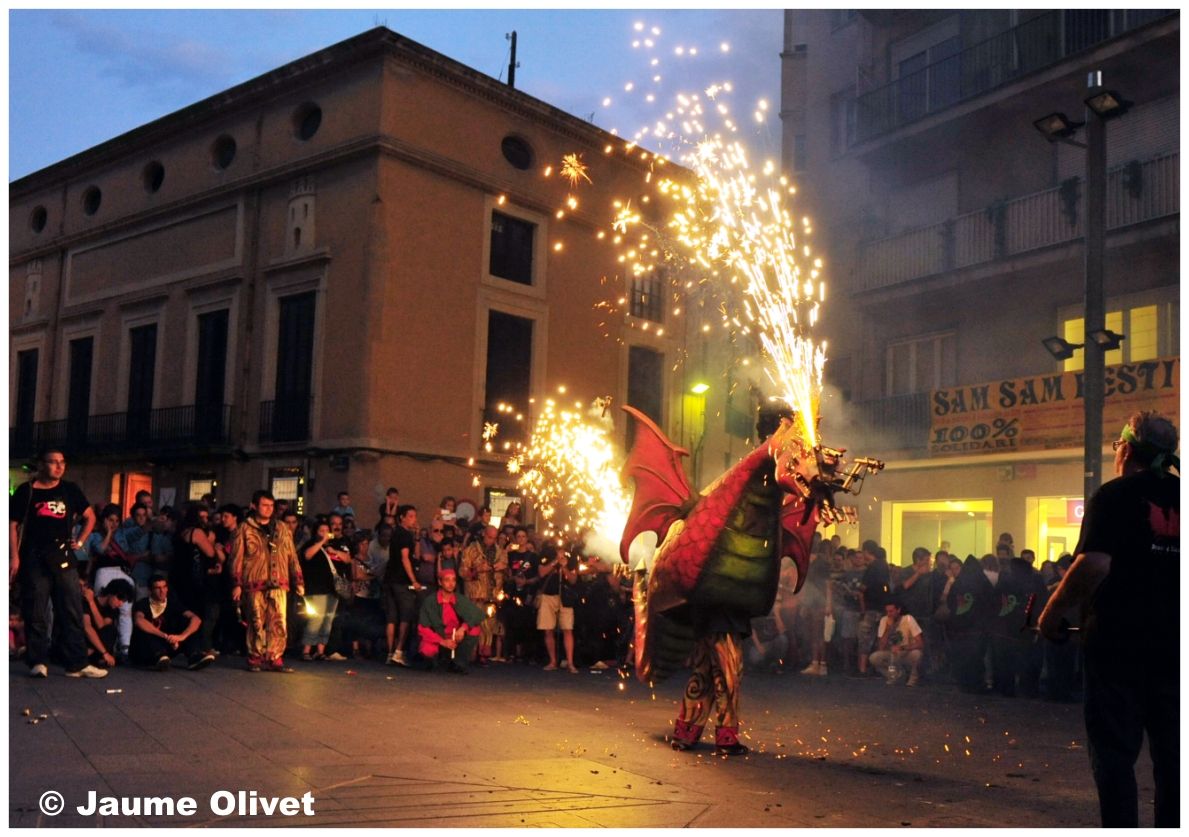 drac_0044 � Jaume Olivet
