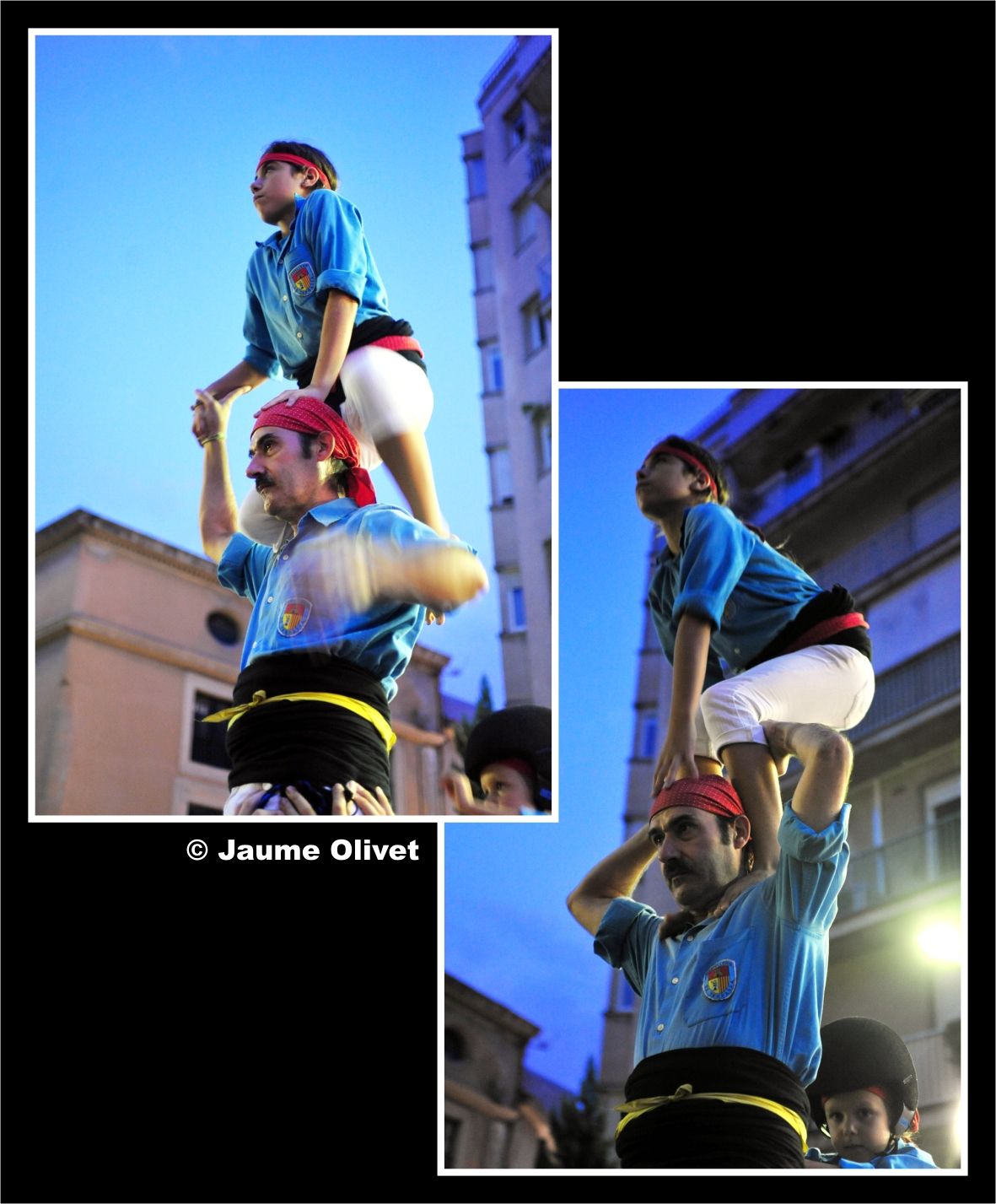 drac_0051 � Jaume Olivet