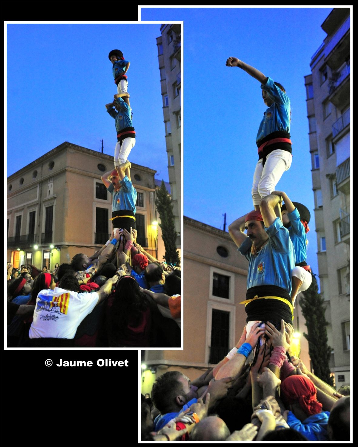 drac_0052 � Jaume Olivet