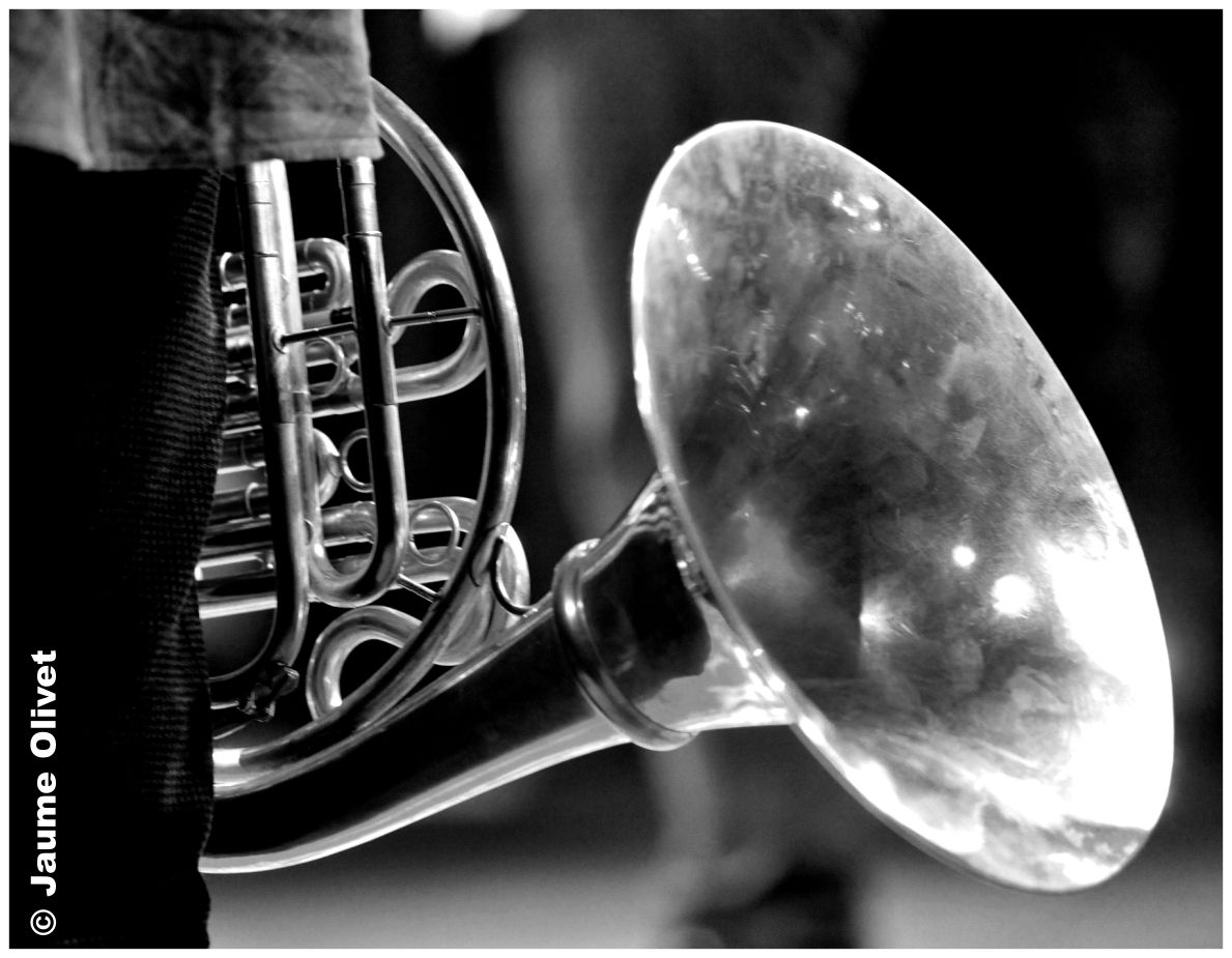  Jaume Olivet - jazz11_2403