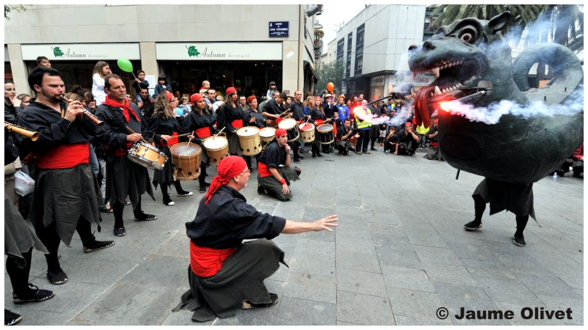 M2011_0405 � Jaume Olivet
