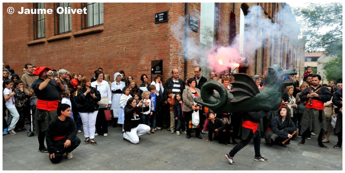 M2011_0406 � Jaume Olivet