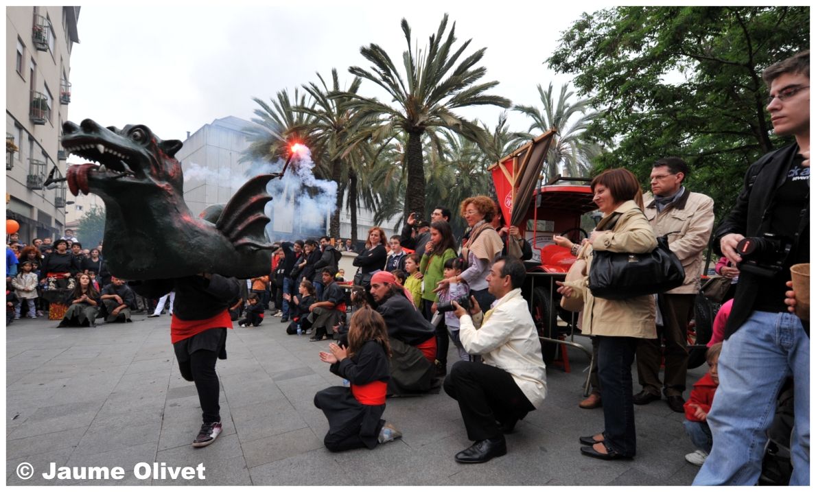 M2011_0407 � Jaume Olivet