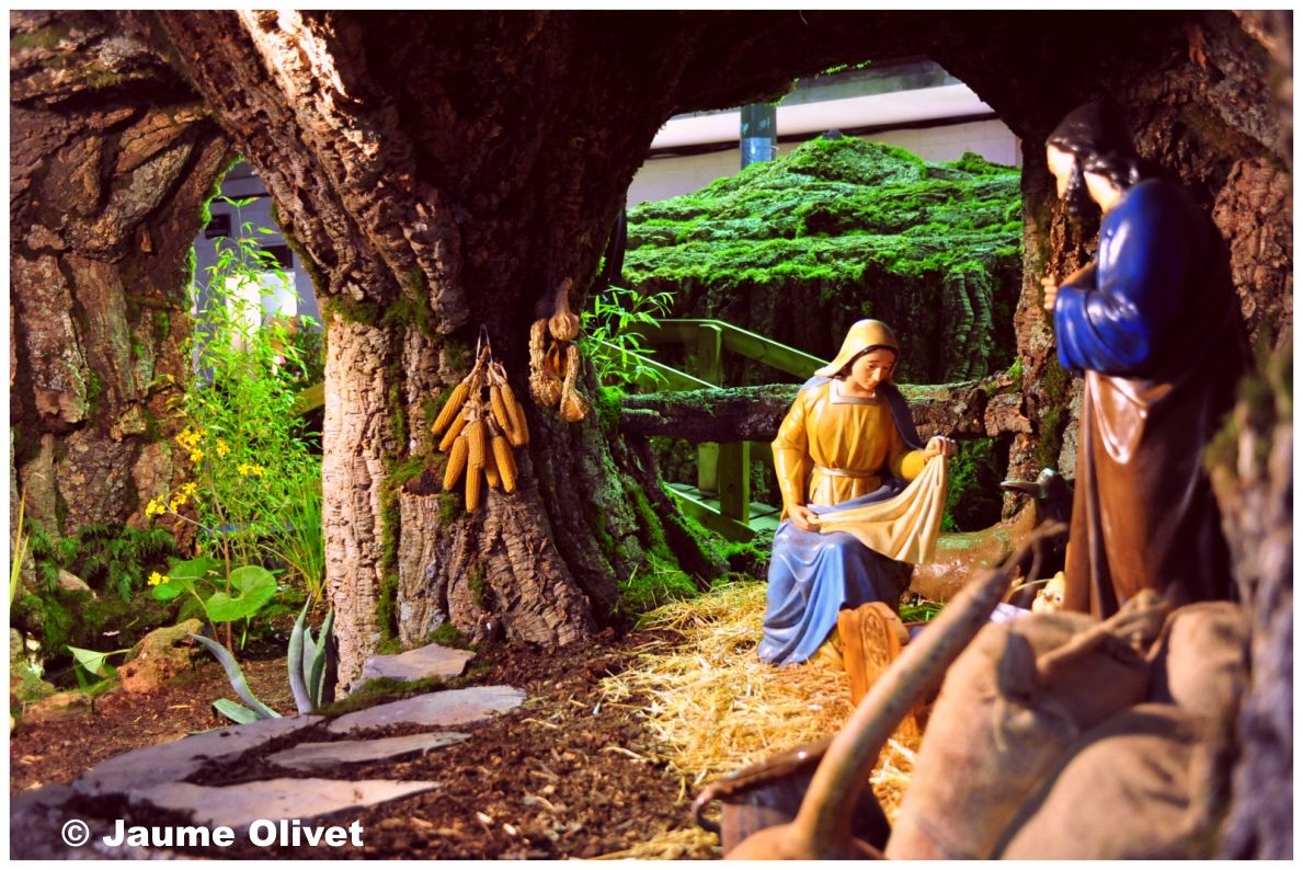 � Jaume Olivet 2011