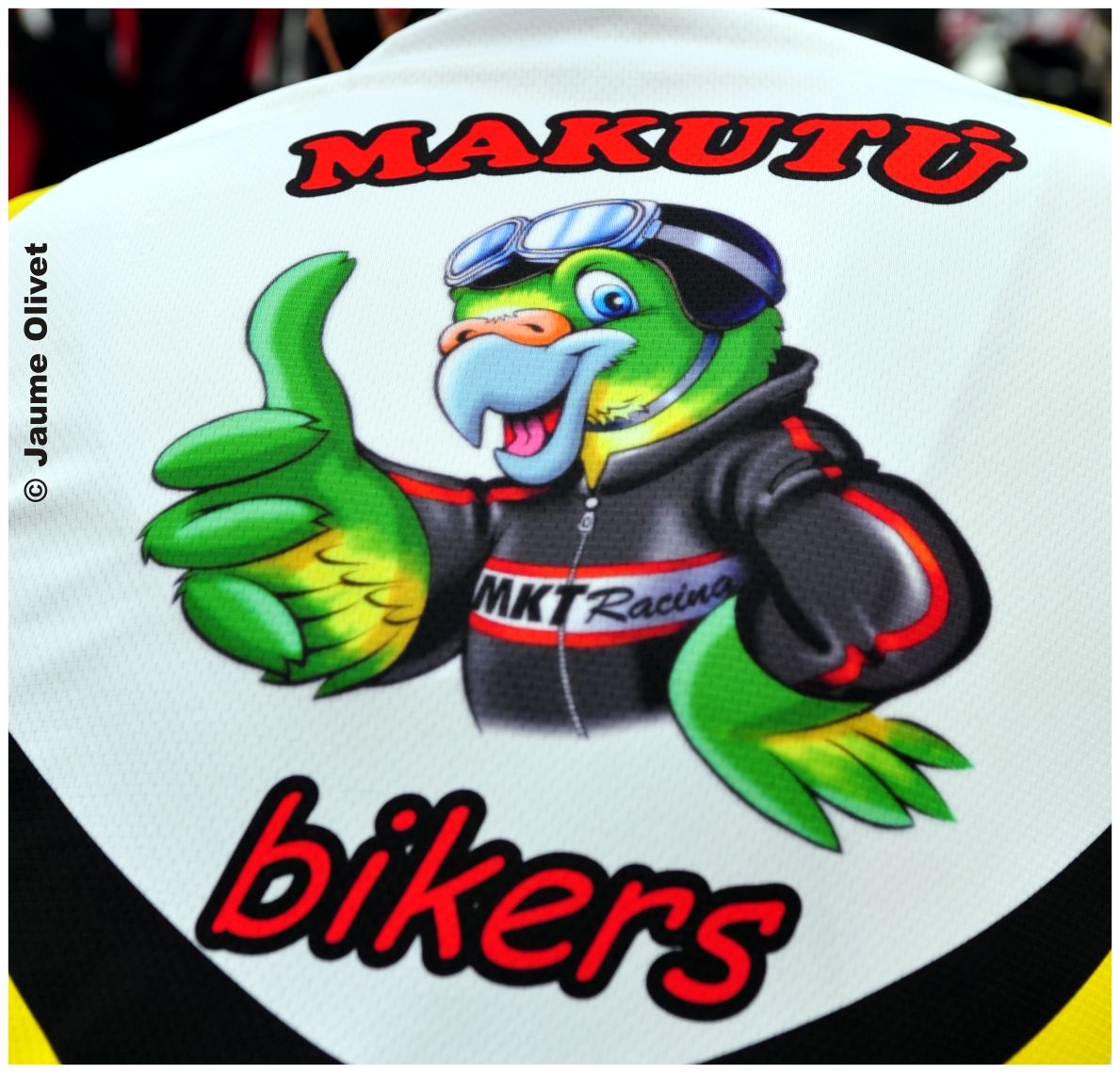 opennatura_0032 � Jaume Olivet