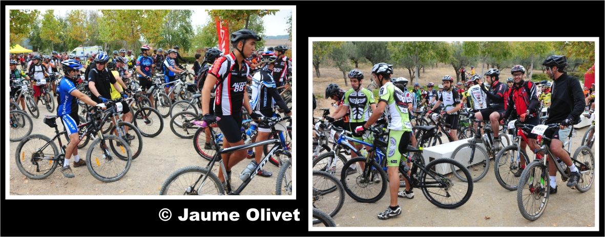 opennatura_0037 � Jaume Olivet