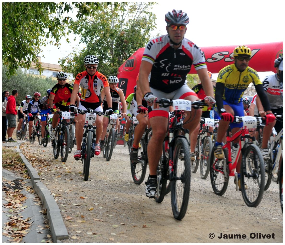 opennatura_0053 � Jaume Olivet