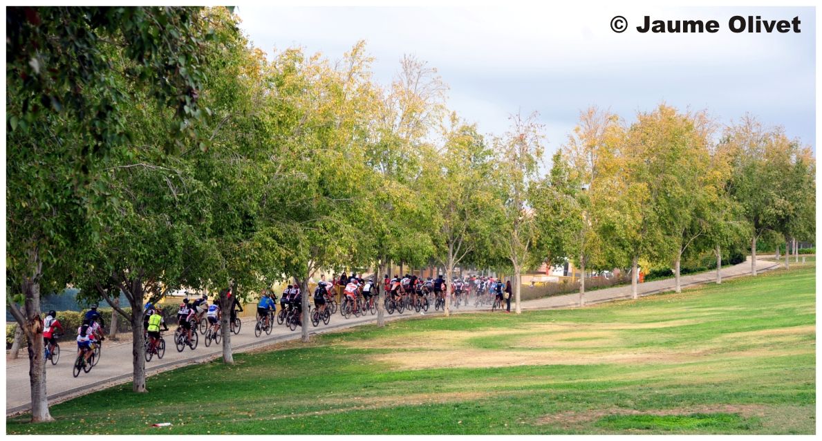 opennatura_0058 � Jaume Olivet