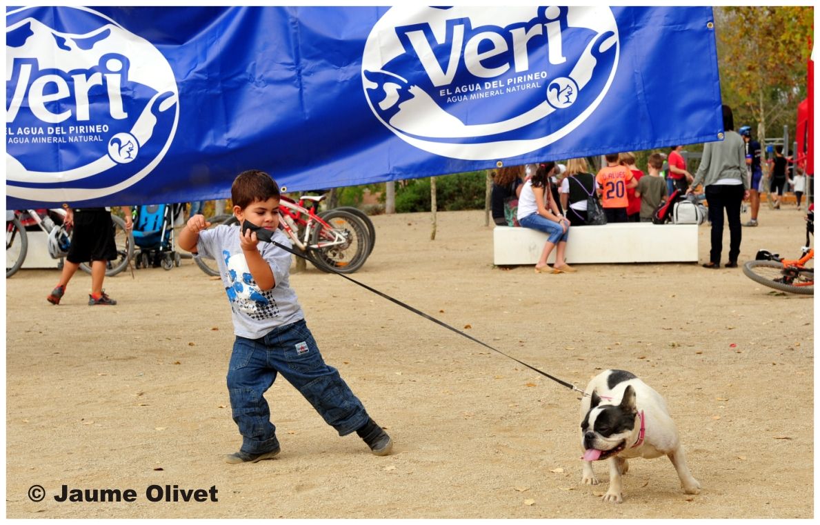 opennatura_0067 � Jaume Olivet