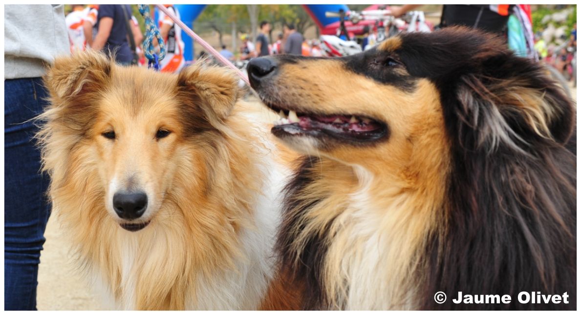opennatura_0079 � Jaume Olivet