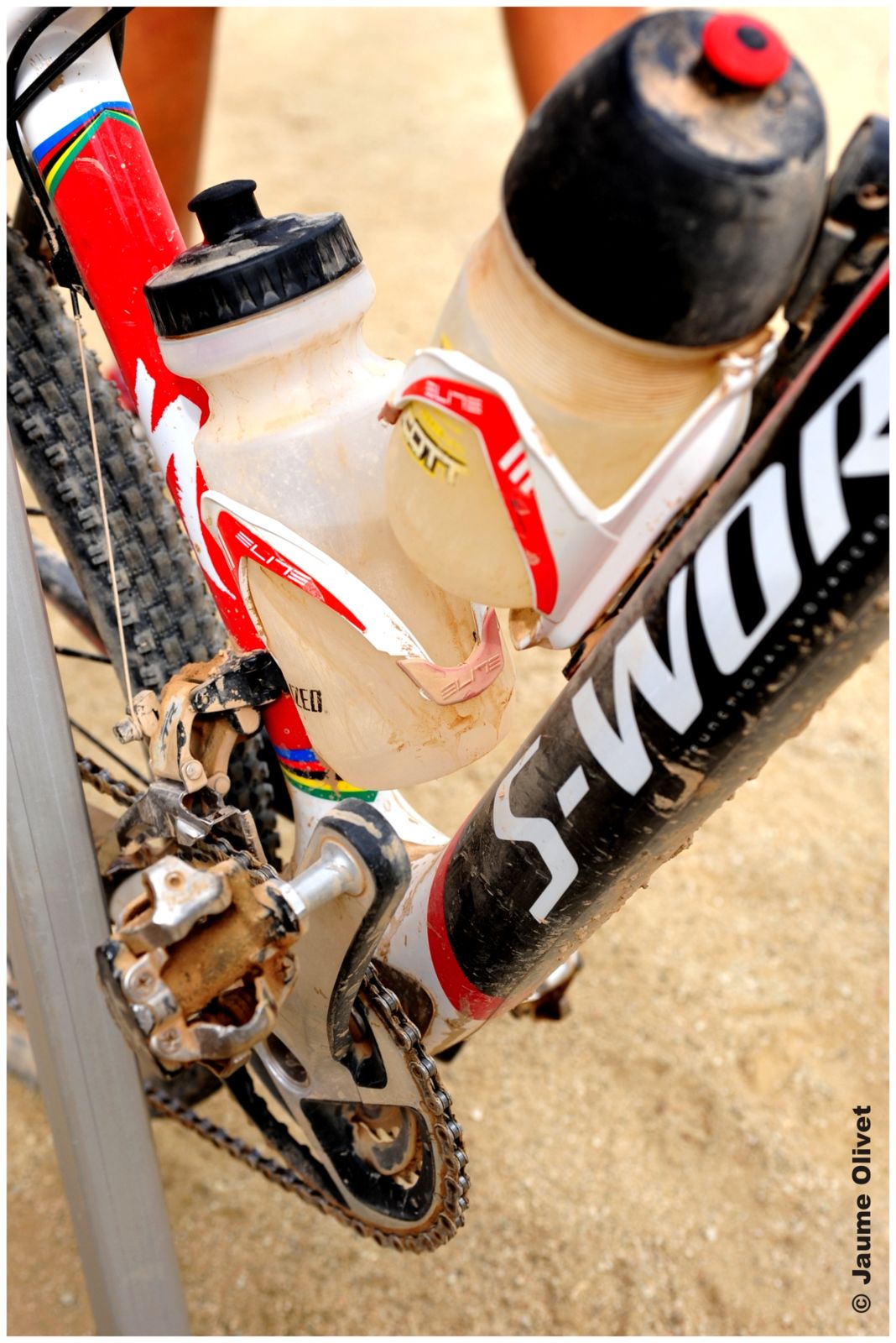 opennatura_0091 � Jaume Olivet