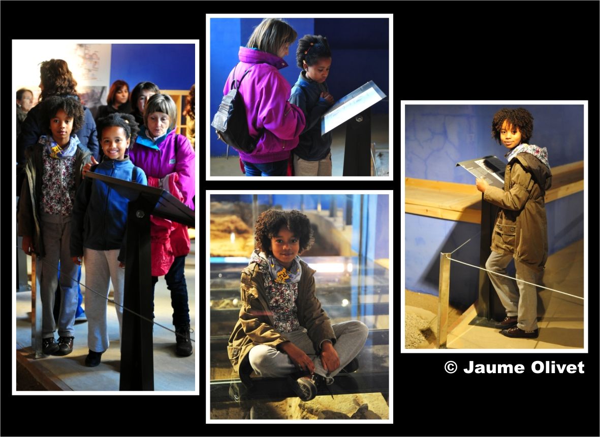 opennatura_0111 � Jaume Olivet