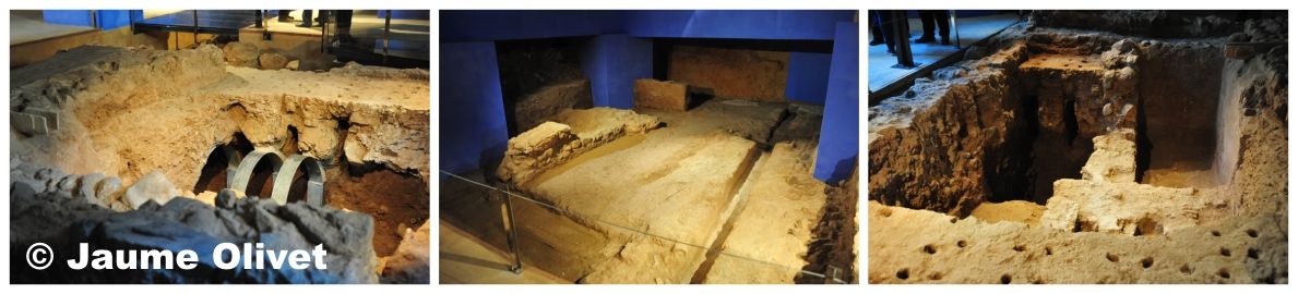 opennatura_0112 � Jaume Olivet